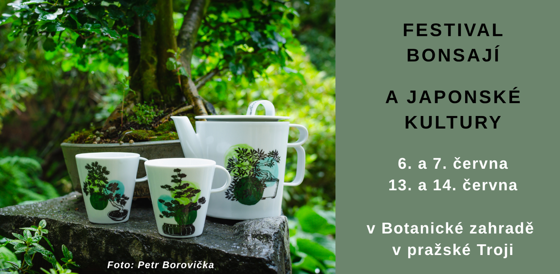 Prodejní stánek HA-NA-MI na festivalu bonsají v Botanické zahradě v Troji