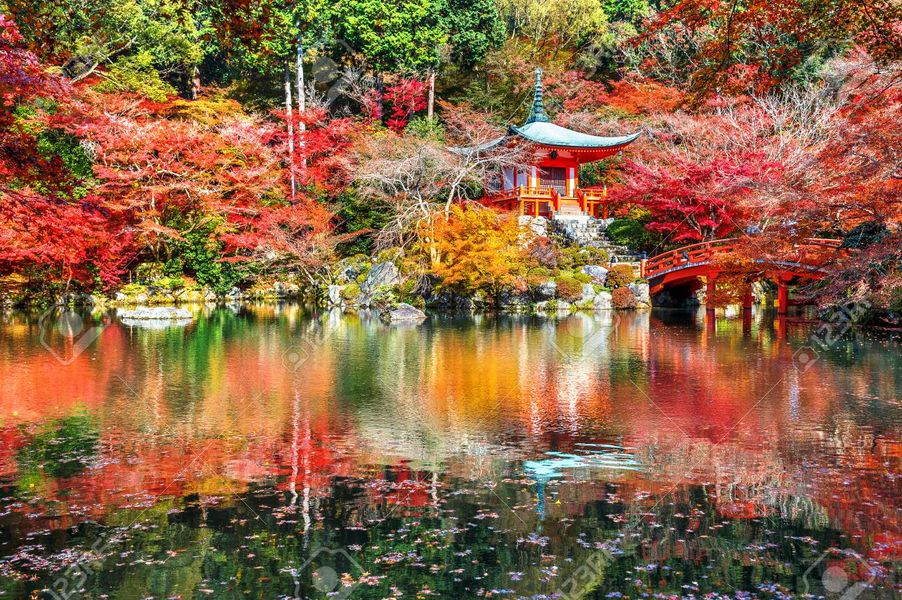 92233924-daigoji-temple-in-autumn-kyoto-japan-autumn-seasons-