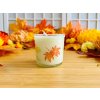 svíčka ve sklenici Park v barvách podzimu