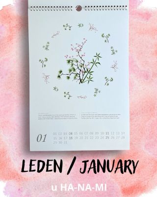 English below… Jaký byl leden u Ha-NA-MI? Na povrchu to vypadalo, že se nic moc neděje, ale opak je pravdou. Navíc kupu...