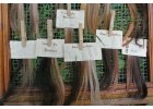 workshop - přírodní barvení vlasů/dopolední demo
