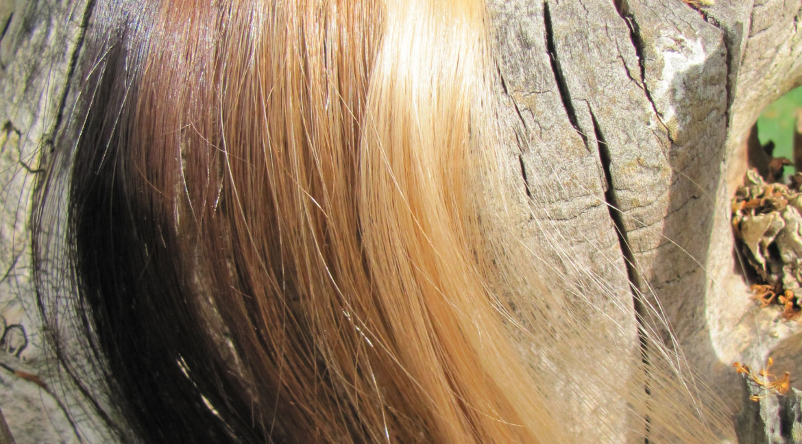 Jak přejít z chemické barvy na přírodní