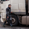 PREDATOR Trousers black/grey (Velikost 44)