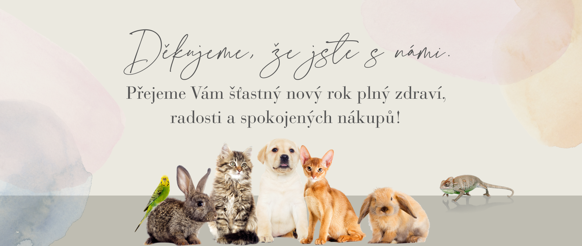 šťastný nový rok