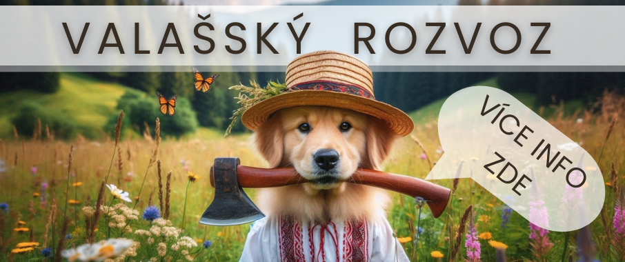 Valašský rozvoz