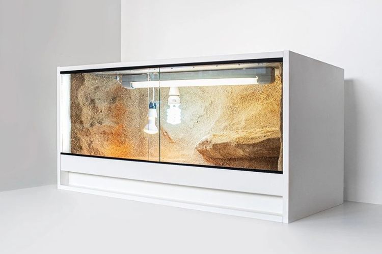jak-velke-terarium-pro-agamu