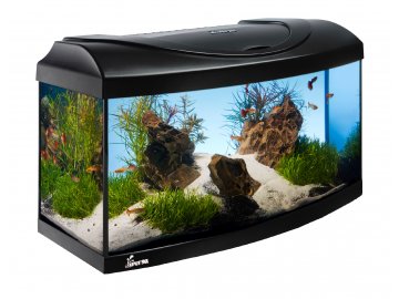 Akvarijní set STARTUP 100 vypouklý 200l
