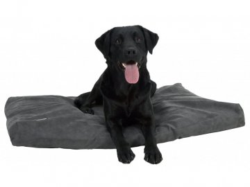 10685 1 pelech matrace ortopedicka seda 100x70 cm buster