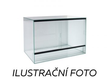 ilustrační foto