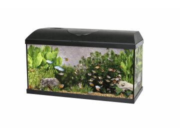 ChatGPT Image 6. 1. 2026 14 02 03