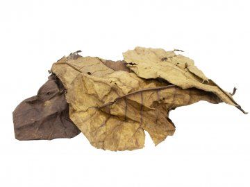 Návrh bez názvu (7)