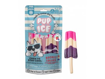 chladici pochoutka pup ice jahoda boruvka 2ks 90g original