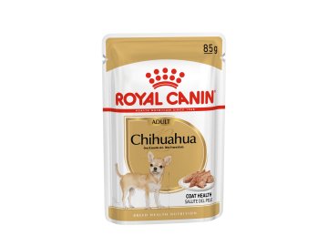 breed 18 chihuahua s pouch 85