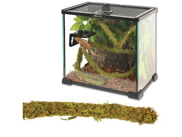ReptiZoo Jungle Vines Liána s mechem