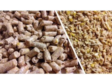 N2T granule - výkrm pro nosnice 10kg