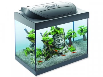 Akvárium set TETRA Starter Shrimp Line LED 44 x 37 x 30 cm 30 l