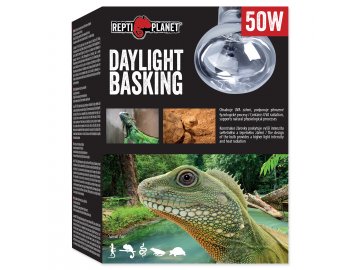 Žárovka REPTI PLANET Daylight Basking Spot 50W