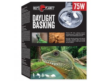 Žárovka REPTI PLANET Daylight Basking Spot 75W