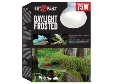 Žárovka Repti Planet Daylight Frosted 75W