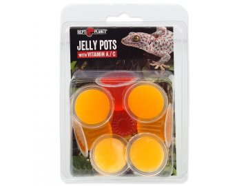 Krmivo REPTI PLANET Jelly Pots Fruit 8ks