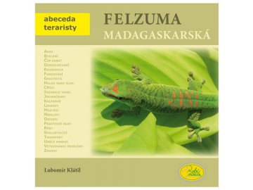 Felsuma madagaskarská - Robimaus