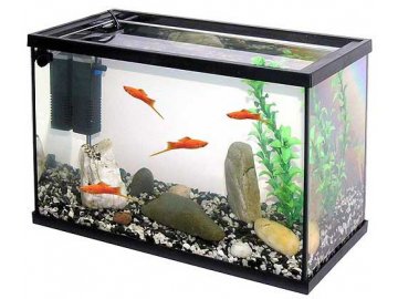 Akvárium set PACIFIC KID 40 x 25 x 20 cm - 20 Litrů bez osvětlení akvárium pro děti vybavené akvárium akvarium s příslušenstvím