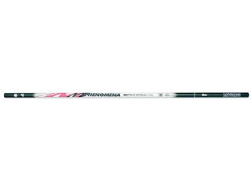 Phenomena P2 9 m