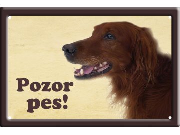 Výstražná cedule: Cedule setr I pozor pes habeo.cz plechová tabulka na  plot