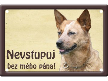 Výstražná cedule: Australský honácký II habeo.cz tabulka pozor pes