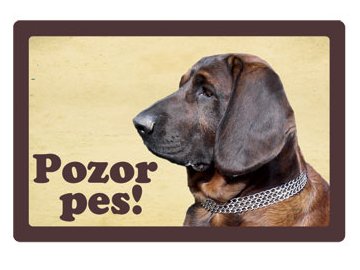 Výstražná cedule: Hannoverský barvář I habeo.cz pozor pes plechová tabulka