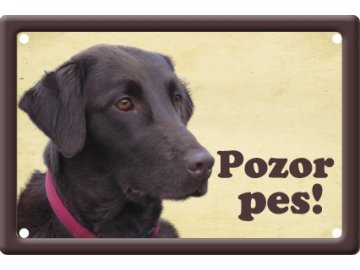 Výstražná cedule: Flat coated retriever I tabulka pozor pes na plot plechová habeo.cz