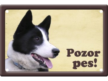 Výstražná cedule: Karelský medvědí I habeo.cz plechová tabulka na plot pozor pes
