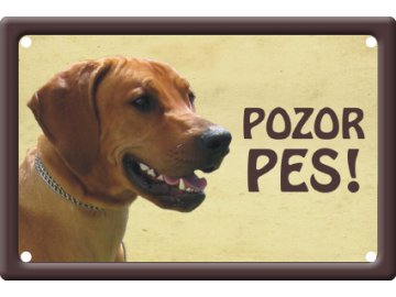 Výstražná cedule: Rhoedéský ridgeback I habeo.cz výstražná cedule pozor pes