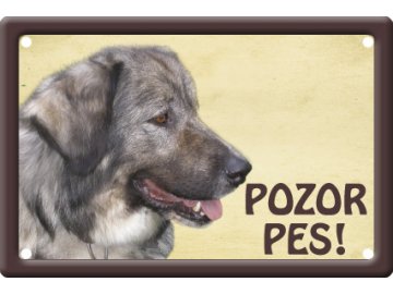 Výstražná cedule: Kavkazský ovčák I pozor pes cedulka tabulka tabule kovová smaltovaná habeo.cz
