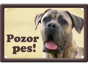 Výstražná cedule: Cane corso I pozor pes plechová tabule tabulka na plot habeo.cz