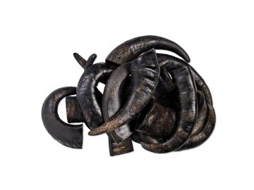 buffalo horns 5 kg 1519905685