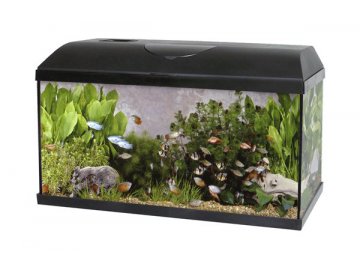 Akvárium PACIFIC 100 x 40 x 40 cm 160 litrů s biofiltrem vybené akvárium LED osvěltení zářivka úsporná žárovka rybičky pro začátečníky Habeo.cz