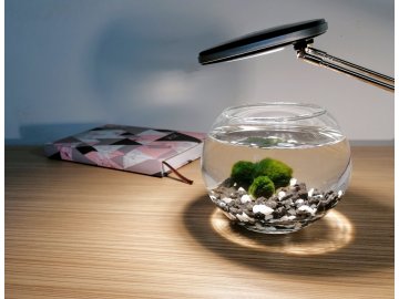 SET Řasokoule a akvarijní koule 0,8 l s černo-bílým štěrkem set řasokoulí se skleněným akváriem a štěrkem černé a bílé kamínky kameny s řasokoulemi habeo.cz
