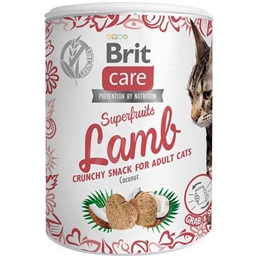 Levně BRIT Care Cat Snack Superfruits Lamb with Coconut 100g