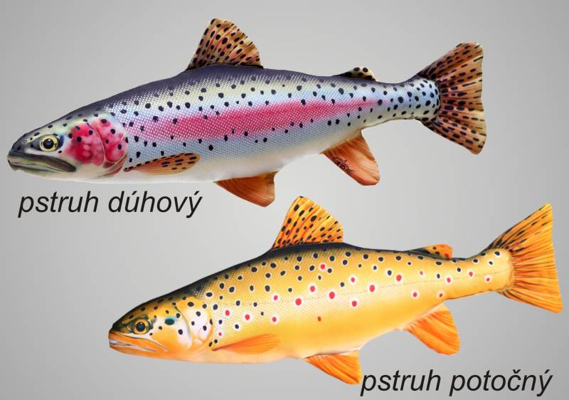 Levně Dekorační polštář - PSTRUH Variant: mini 35-45cm