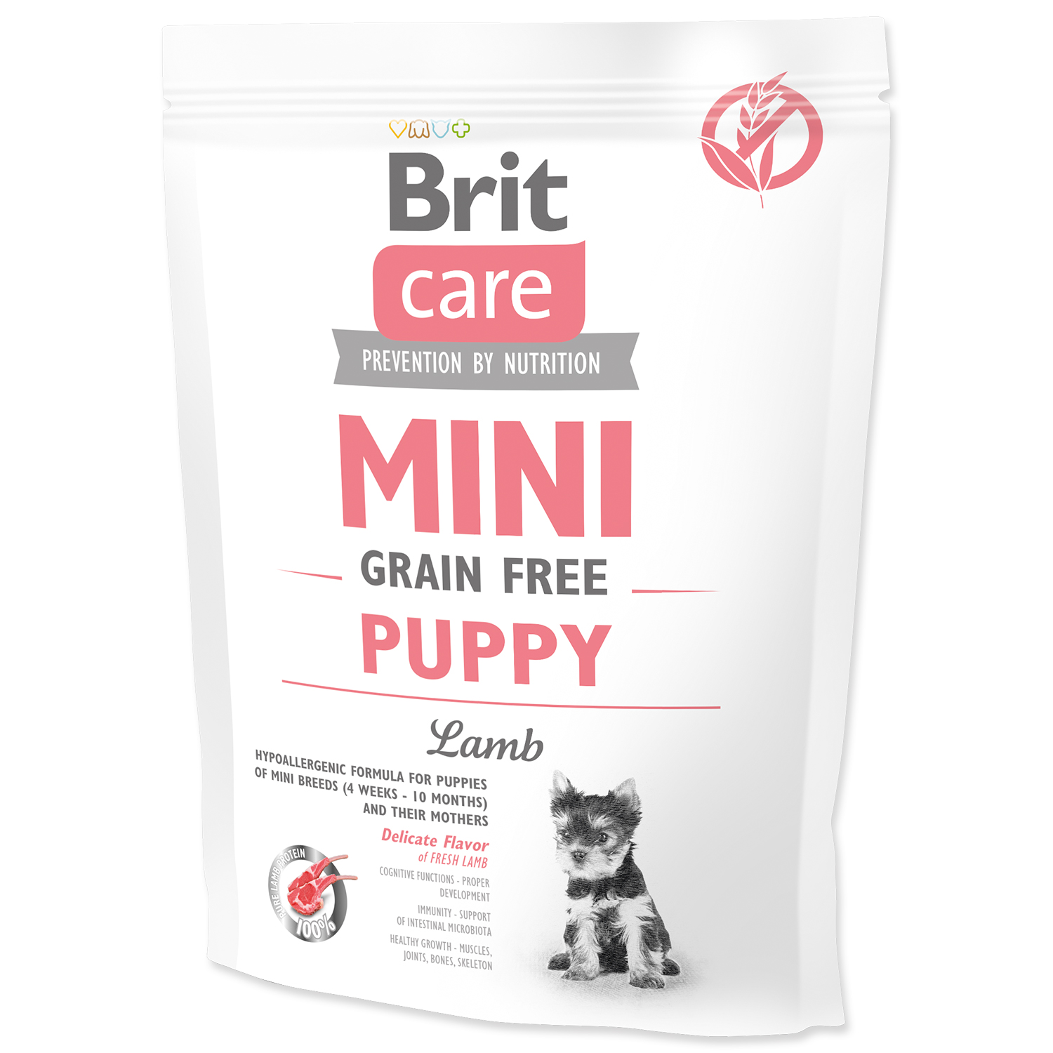 Levně BRIT Care Mini Grain Free Puppy Lamb 400g