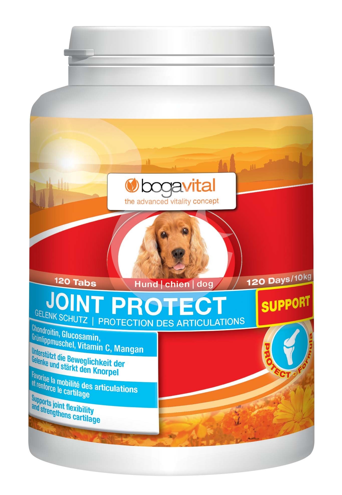 Levně BOGAR bogavital JOINT PROTECT support, pes, 180 g / 120 tablet