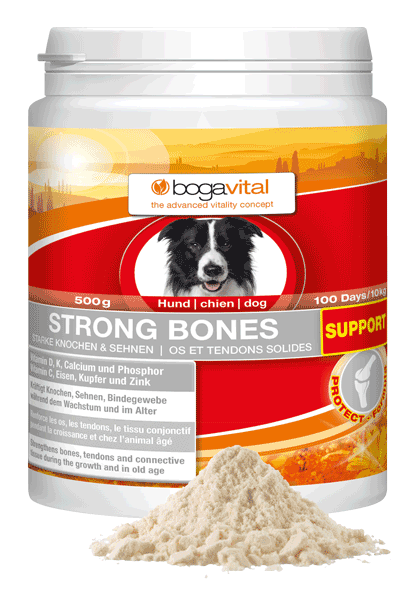 Levně BOGAR bogavital STRONG BONES SUPPORT, pes, 500 g