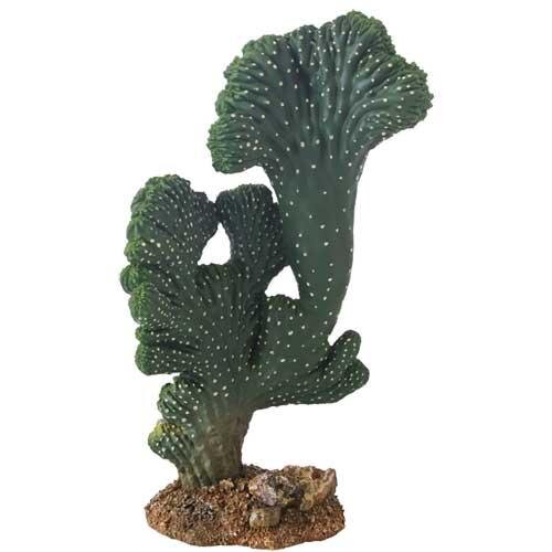 Levně HOBBY Kaktus Victoria 2, 22 cm