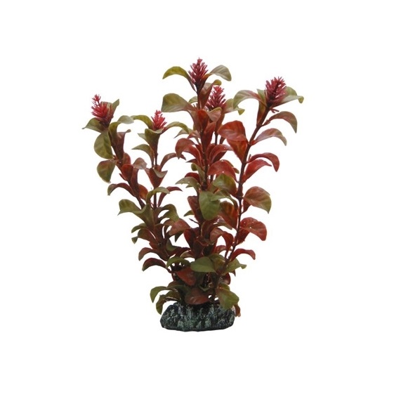 Levně HOBBY Dekorace Rotala, 30 cm