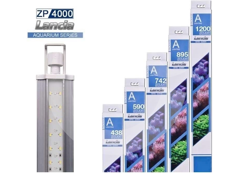 Levně Osvětlení Lancia ZP4000-438P LED 15 W, 377 mm, plant