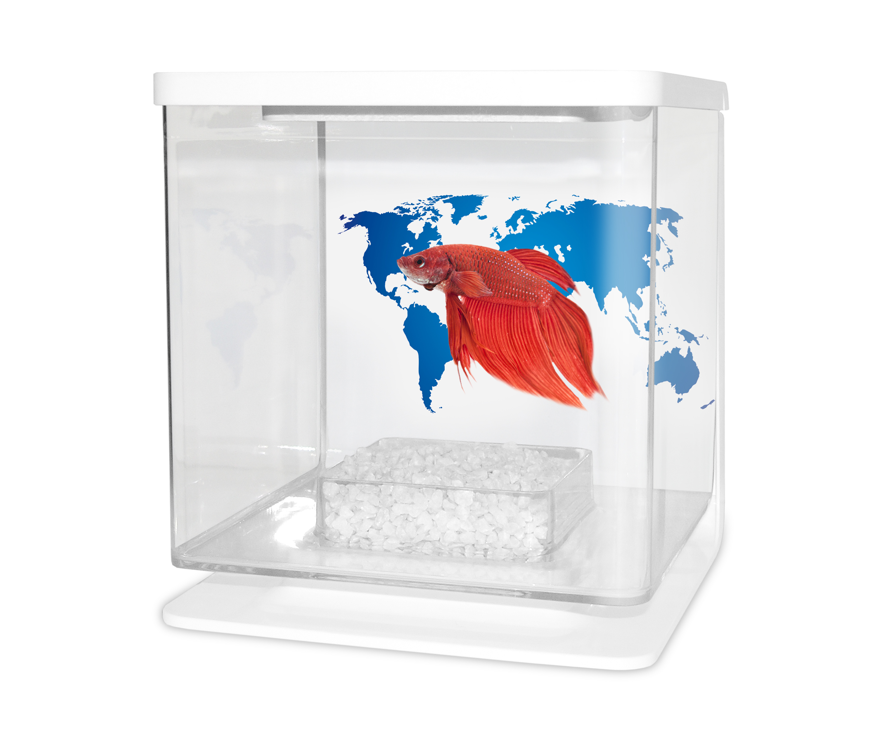 Levně cat-gato-betarium-betta-kit-world-map-2