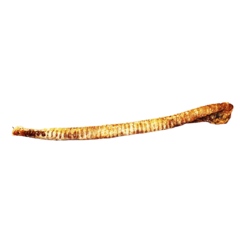 Levně Hrtan sušený celý, 40 - 50 cm