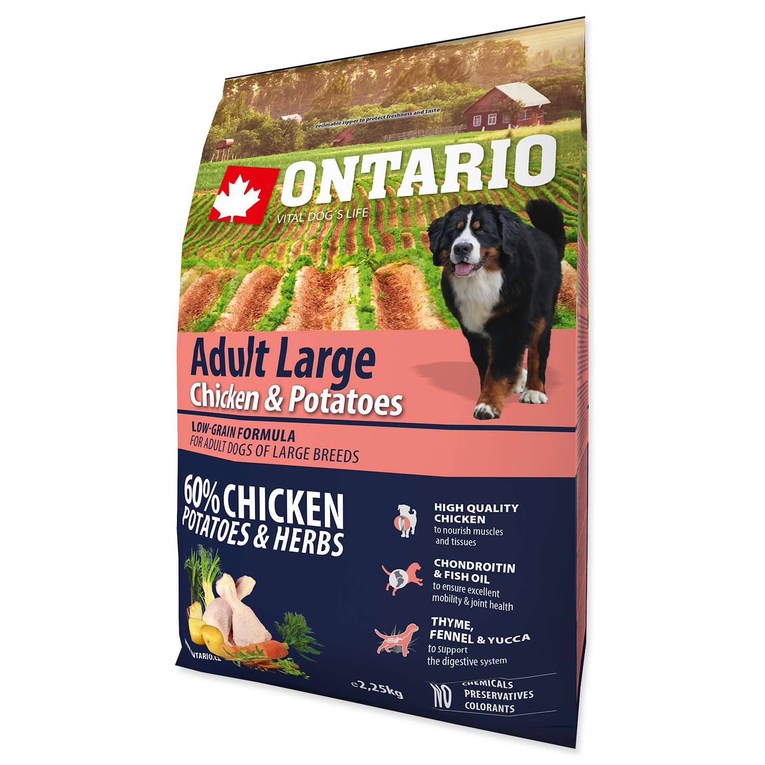 Levně Ontario Adult Large Chicken & Potatoes & Herbs Velikost balení: 2,25 kg