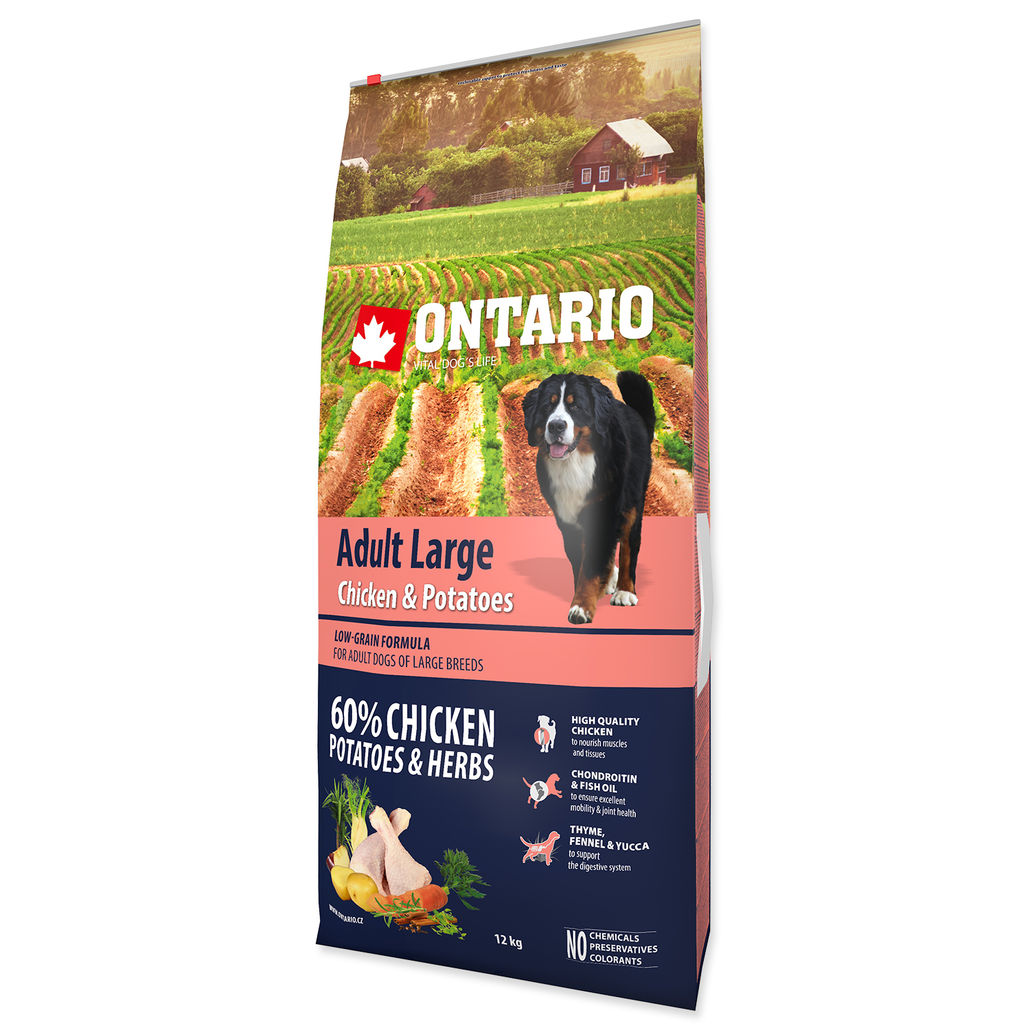 Levně Ontario Adult Large Chicken & Potatoes & Herbs Velikost balení: 12kg